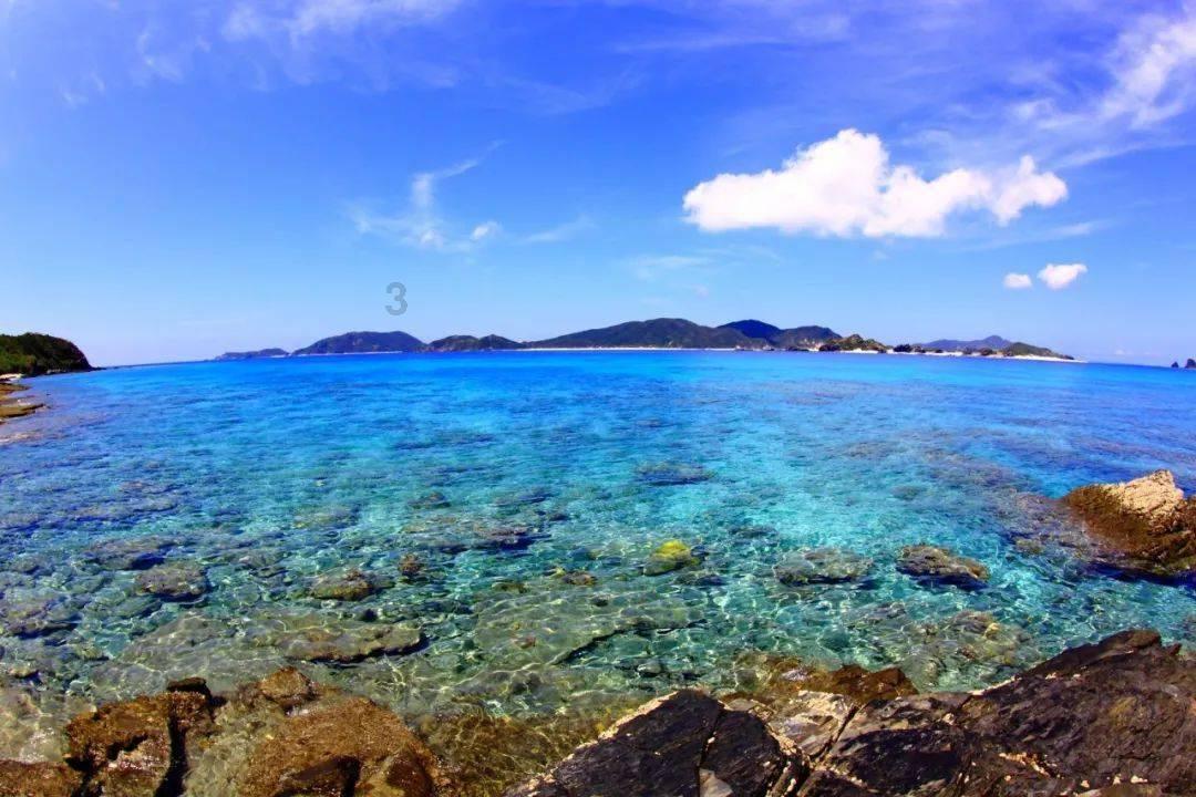 夏季热带海滩逃生